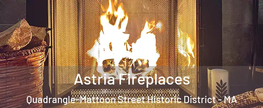 Astria Fireplaces Quadrangle-Mattoon Street Historic District - MA
