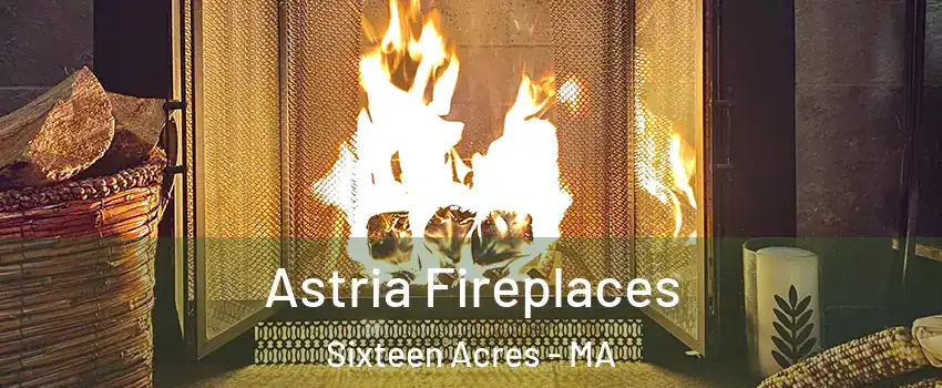 Astria Fireplaces Sixteen Acres - MA