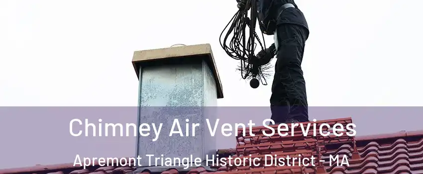 Chimney Air Vent Services Apremont Triangle Historic District - MA