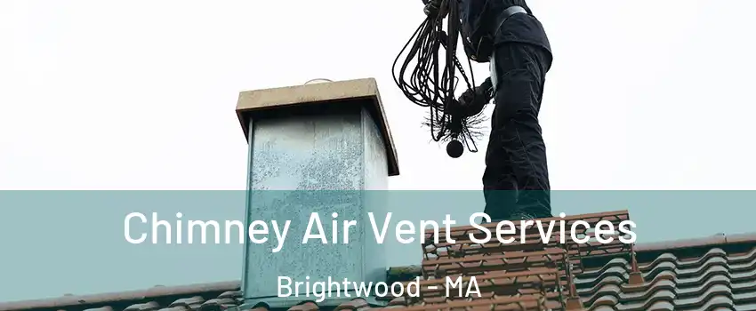 Chimney Air Vent Services Brightwood - MA
