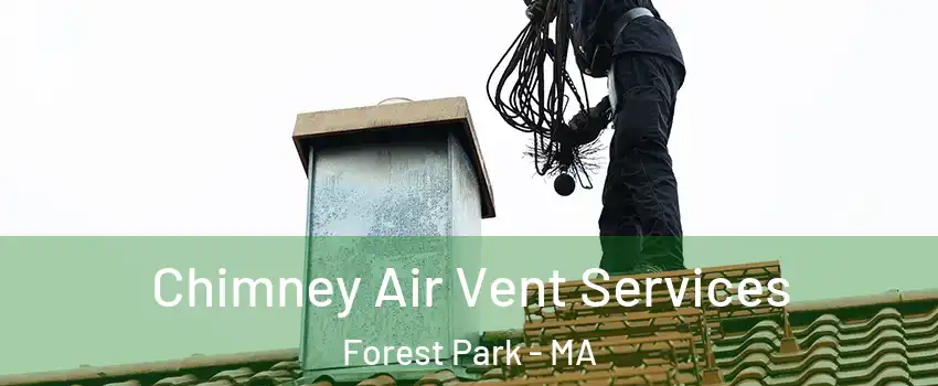 Chimney Air Vent Services Forest Park - MA