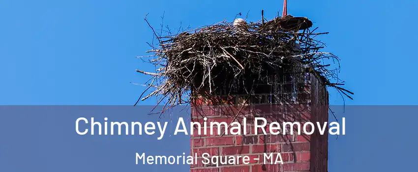 Chimney Animal Removal Memorial Square - MA