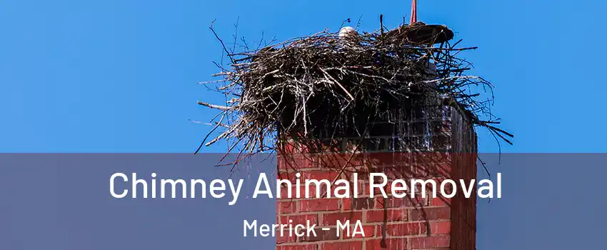 Chimney Animal Removal Merrick - MA