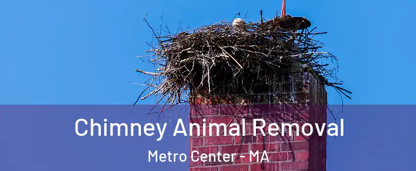Chimney Animal Removal Metro Center - MA