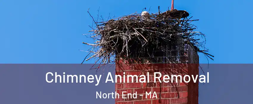 Chimney Animal Removal North End - MA
