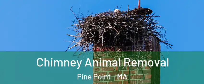 Chimney Animal Removal Pine Point - MA