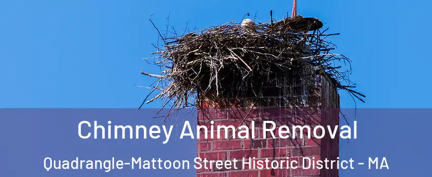 Chimney Animal Removal Quadrangle-Mattoon Street Historic District - MA