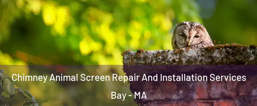 Chimney Animal Screen Repair And Installation Services Bay - MA