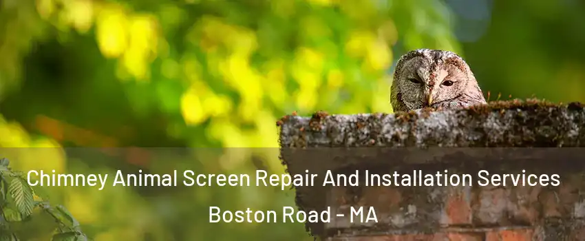 Chimney Animal Screen Repair And Installation Services Boston Road - MA