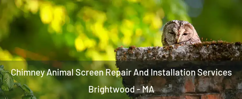 Chimney Animal Screen Repair And Installation Services Brightwood - MA