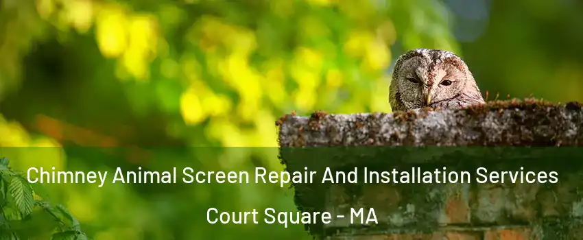 Chimney Animal Screen Repair And Installation Services Court Square - MA