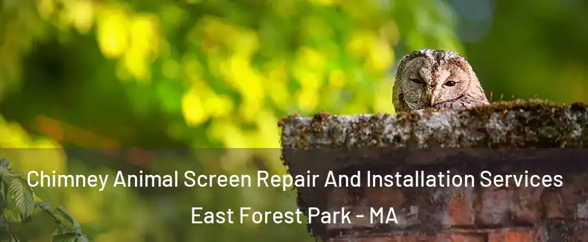 Chimney Animal Screen Repair And Installation Services East Forest Park - MA