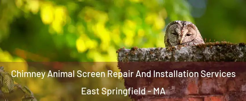 Chimney Animal Screen Repair And Installation Services East Springfield - MA