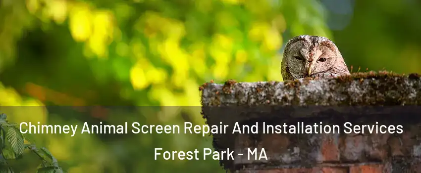 Chimney Animal Screen Repair And Installation Services Forest Park - MA