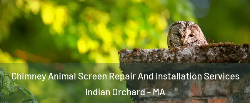 Chimney Animal Screen Repair And Installation Services Indian Orchard - MA