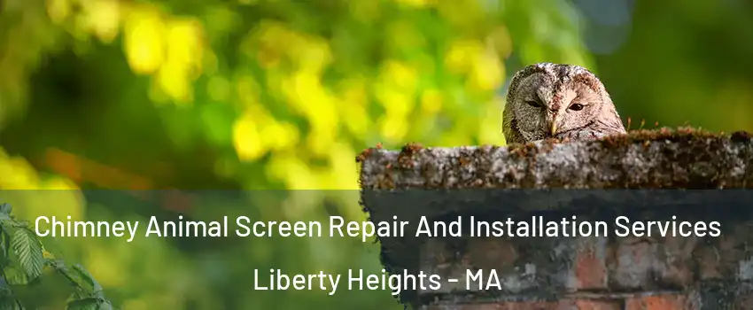 Chimney Animal Screen Repair And Installation Services Liberty Heights - MA