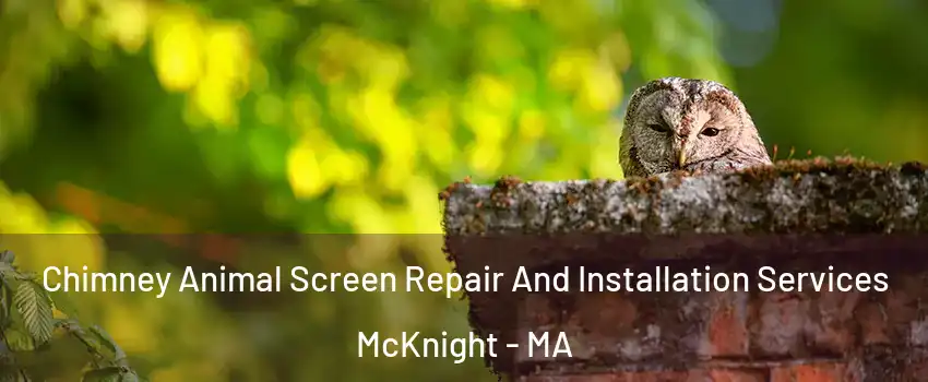 Chimney Animal Screen Repair And Installation Services McKnight - MA