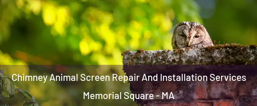 Chimney Animal Screen Repair And Installation Services Memorial Square - MA