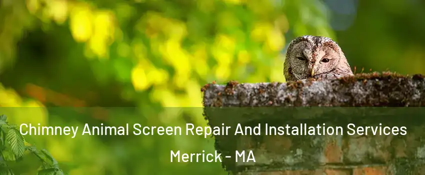 Chimney Animal Screen Repair And Installation Services Merrick - MA