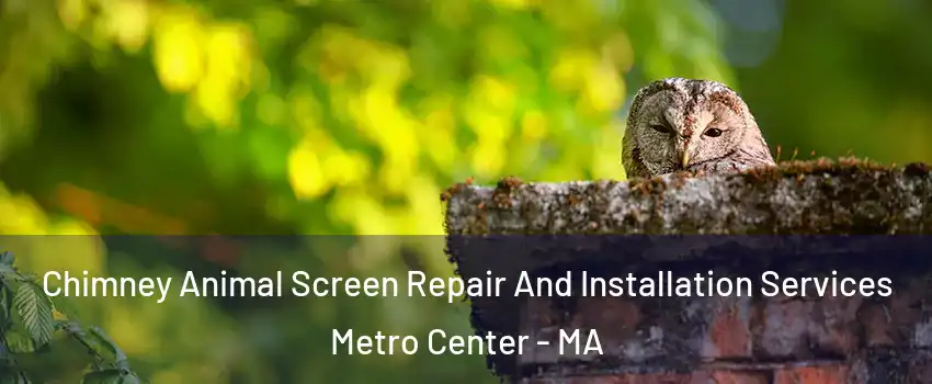 Chimney Animal Screen Repair And Installation Services Metro Center - MA