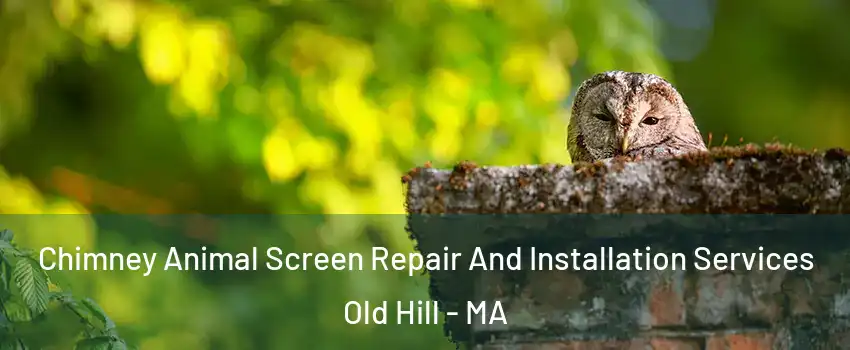 Chimney Animal Screen Repair And Installation Services Old Hill - MA