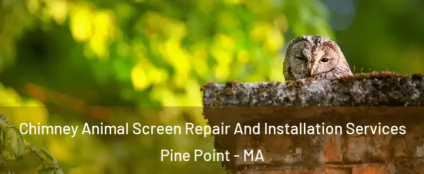 Chimney Animal Screen Repair And Installation Services Pine Point - MA