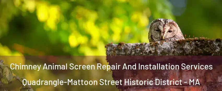 Chimney Animal Screen Repair And Installation Services Quadrangle-Mattoon Street Historic District - MA