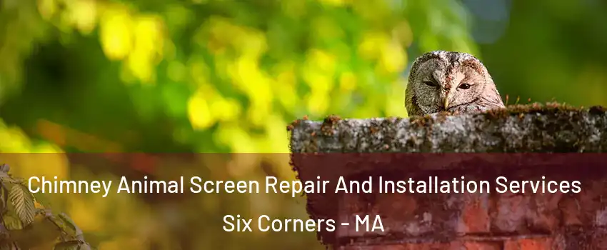 Chimney Animal Screen Repair And Installation Services Six Corners - MA