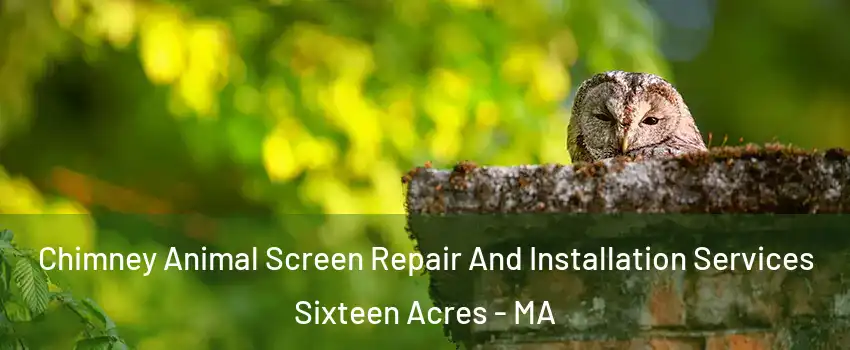 Chimney Animal Screen Repair And Installation Services Sixteen Acres - MA