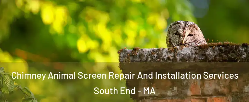 Chimney Animal Screen Repair And Installation Services South End - MA