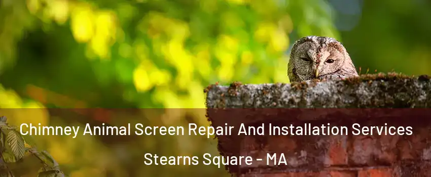 Chimney Animal Screen Repair And Installation Services Stearns Square - MA