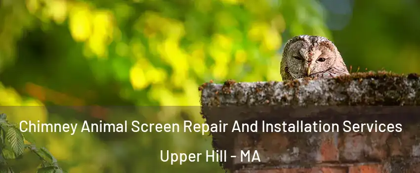 Chimney Animal Screen Repair And Installation Services Upper Hill - MA