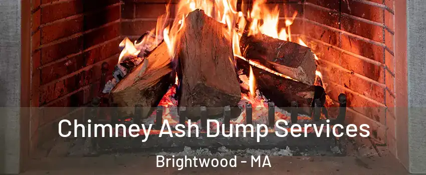 Chimney Ash Dump Services Brightwood - MA