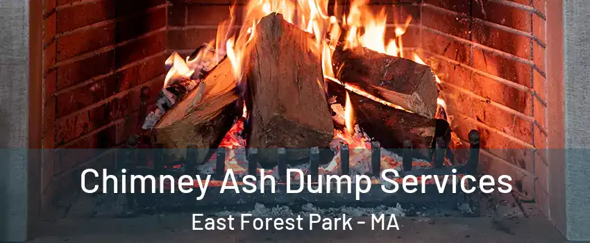Chimney Ash Dump Services East Forest Park - MA