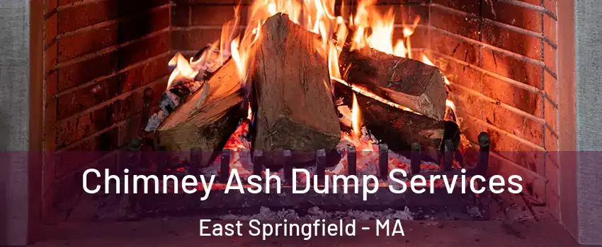 Chimney Ash Dump Services East Springfield - MA