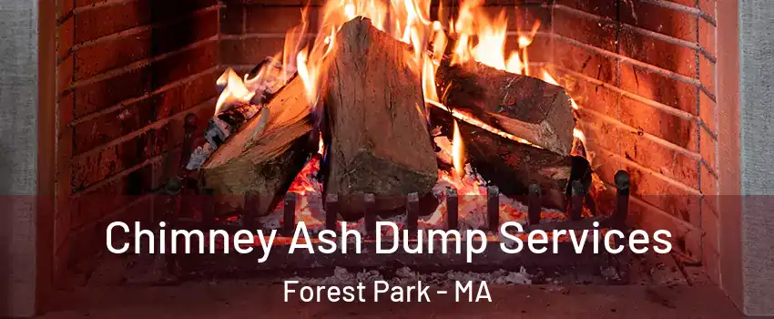 Chimney Ash Dump Services Forest Park - MA