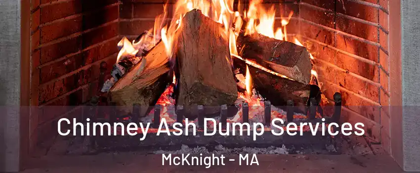 Chimney Ash Dump Services McKnight - MA