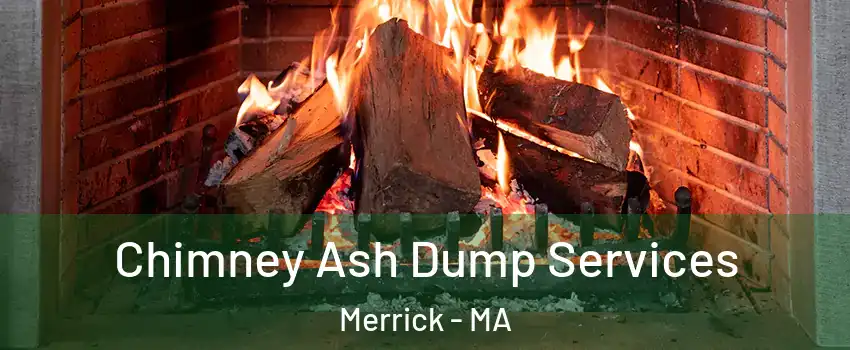 Chimney Ash Dump Services Merrick - MA