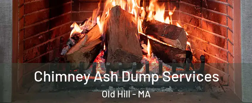 Chimney Ash Dump Services Old Hill - MA