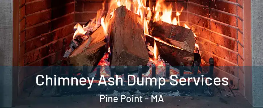 Chimney Ash Dump Services Pine Point - MA