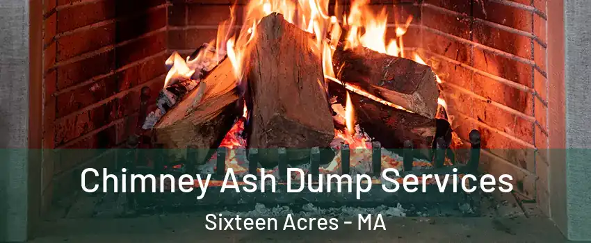Chimney Ash Dump Services Sixteen Acres - MA
