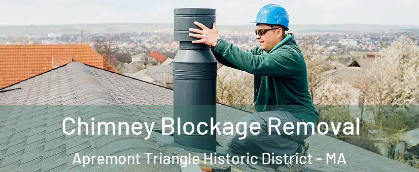 Chimney Blockage Removal Apremont Triangle Historic District - MA