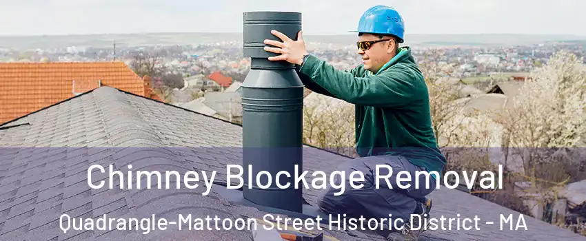 Chimney Blockage Removal Quadrangle-Mattoon Street Historic District - MA