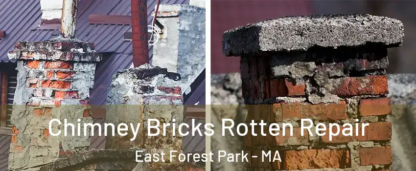 Chimney Bricks Rotten Repair East Forest Park - MA