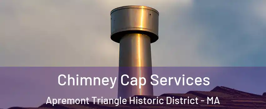Chimney Cap Services Apremont Triangle Historic District - MA