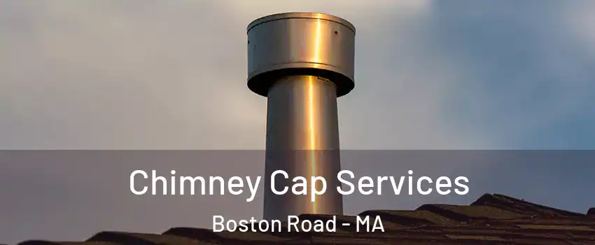 Chimney Cap Services Boston Road - MA
