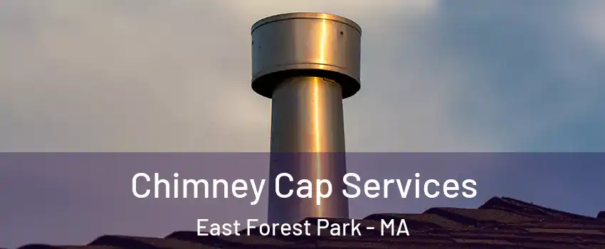 Chimney Cap Services East Forest Park - MA