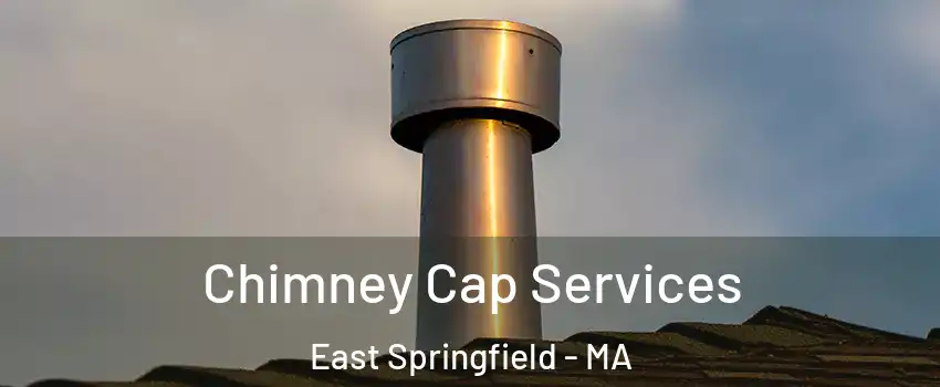 Chimney Cap Services East Springfield - MA