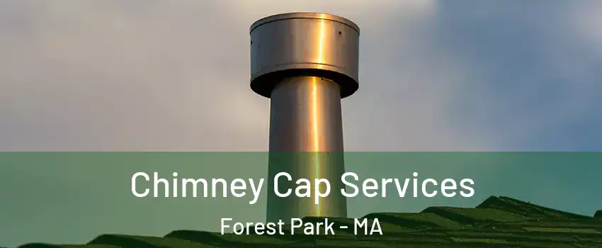 Chimney Cap Services Forest Park - MA