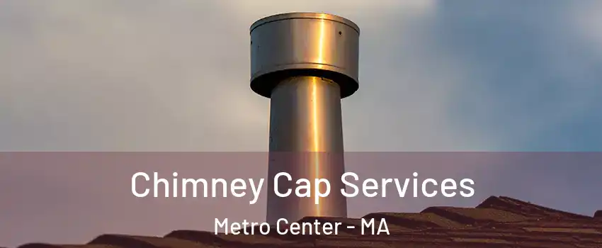 Chimney Cap Services Metro Center - MA